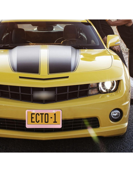 Marco de Placa de Licencia Kigai Rosa - Paquete de 2 Universales