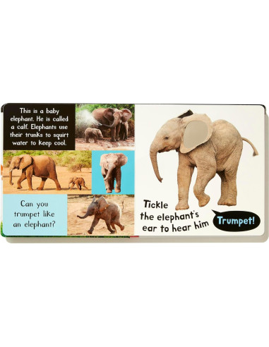 Noisy Baby Animals: Includes 6 Sounds and an On/Off Switch on the Back Cover! (My First)