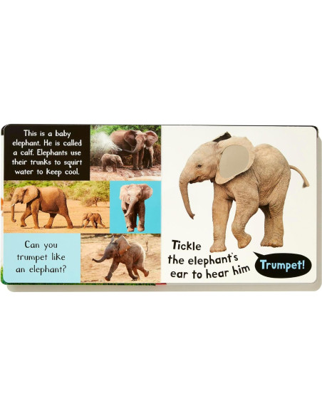 Noisy Baby Animals: Includes 6 Sounds and an On/Off Switch on the Back Cover! (My First)