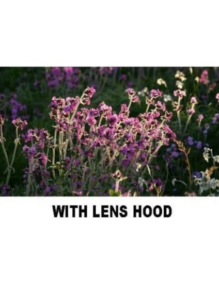 Capucha de Lente Polaroid 55mm para Fotografía Profesional