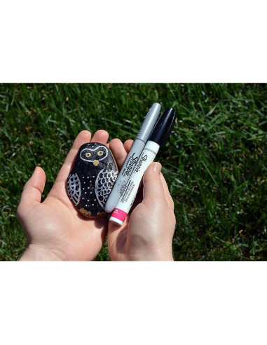 Marcador de Pintura Sharpie Punta Extra Fina Negro 1 Unidad