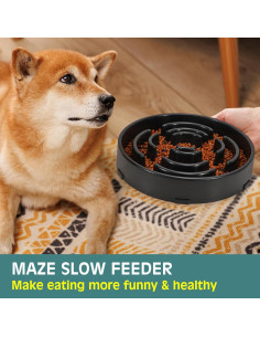 Tazón Antiahogo Grande WHIPPY para Perros - Alimentación Lenta 2