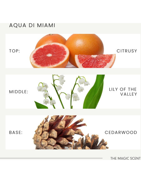 Aceite Difusor Aqua di Miami 120 mL - Aromas de Lujo