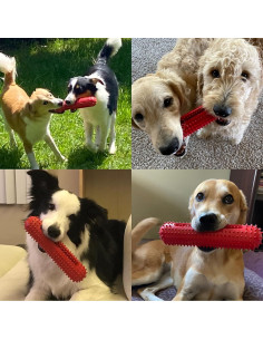 Juguete para Perros Petizer Rojo 23.6cm Resistente a Masticadores 2