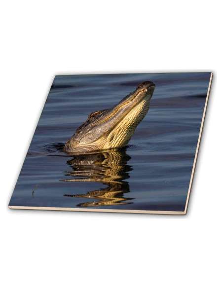 Azulejo de cerámica 3dRose 10x10 cm Caimán Americano