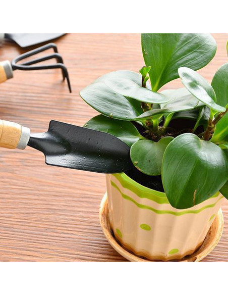 Juego de Herramientas de Jardín Mini 3 Piezas Snadulor