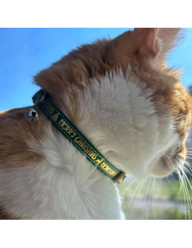 Cepillo deshedding para mascotas Haigele pequeño verde