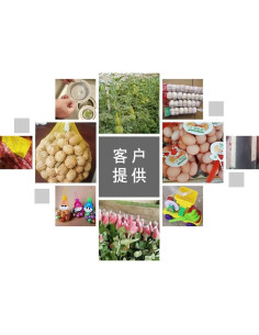 Bolsas de Malla Reutilizables 38 cm Nylon 100 Pcs BULUSHI 2