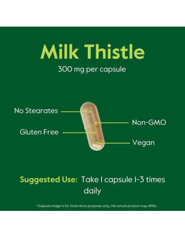 Suplemento Cardo Mariano 300mg Bestvite 240 Cápsulas Veganas