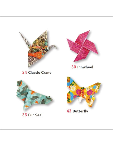 Pocket Size Origami Fun Kit: Contains Everything You Need to Make 7 Exciting Paper Models