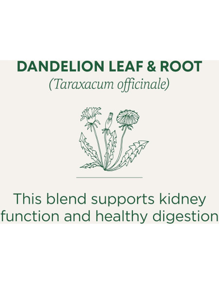 Té Diente de León Orgánico 16 Bolsitas - Apoya Función Renal Té Diente de León Orgánico 16 Bolsitas - Apoya Función Renal