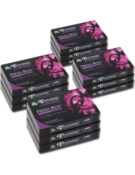 Ambientador Gel Auto Dynasty Aroma Almizcle Negro 12 Pzas