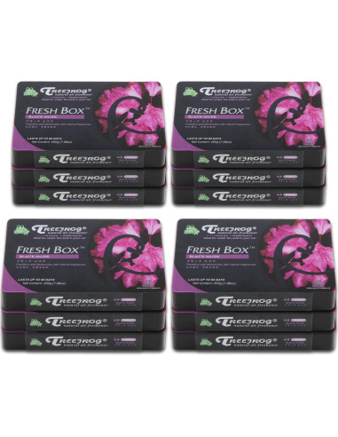 Ambientador Gel Auto Dynasty Aroma Almizcle Negro 12 Pzas