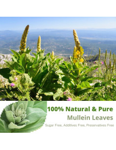 Té de Mullein VitalForest - 60 Bolsitas Ecológicas para Pulmones 2