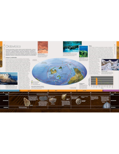 Dinosaurios y la vida en la prehistoria (Dinosaurs and Prehistoric Life) (DK Definitive Visual Encyclopedias) (Spanish Edition)