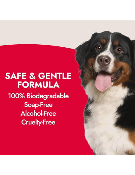 Limpiador Exfoliante Facial para Perros KONG 473 ml - Hipoalergénico, Biodegradable, Aroma a Arándano