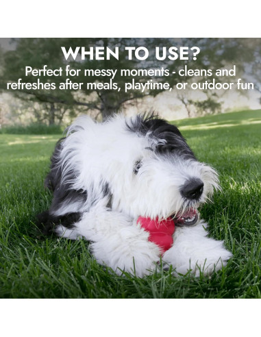 Limpiador Exfoliante Facial para Perros KONG 473 ml - Hipoalergénico, Biodegradable, Aroma a Arándano