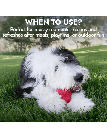 Limpiador Exfoliante Facial para Perros KONG 473 ml - Hipoalergénico, Biodegradable, Aroma a Arándano