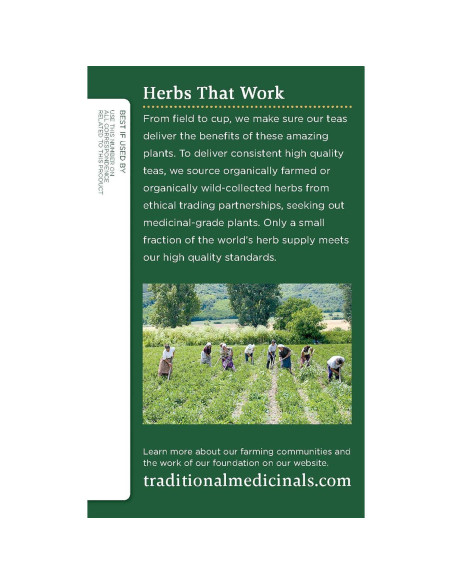 Té de raíz de regaliz orgánico Traditional Medicinals 16 bolsas Té de raíz de regaliz orgánico Traditional Medicinals 16 bolsas