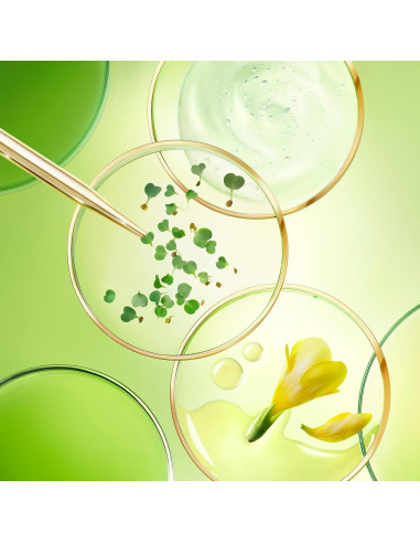 Crema Anti-Envejecimiento Nuxe Nuxuriance Ultra 50 ml