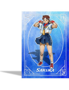 Cajas de Colección Cartas Street Fighter Alpha - 2 Paquetes 2