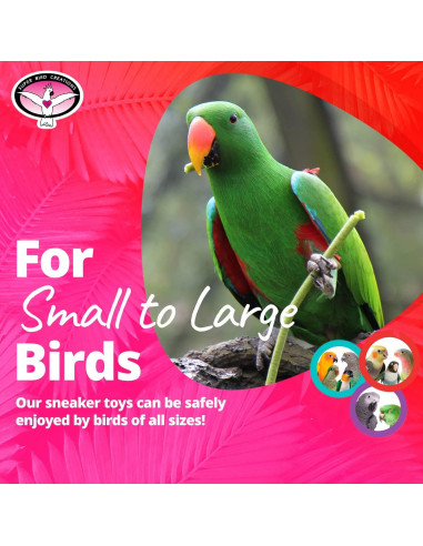 Juguete para Pájaros Super Bird Creations Sneaker 12 Paquete