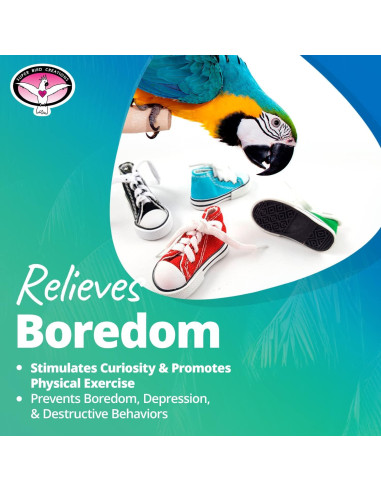 Juguete para Pájaros Super Bird Creations Sneaker 12 Paquete