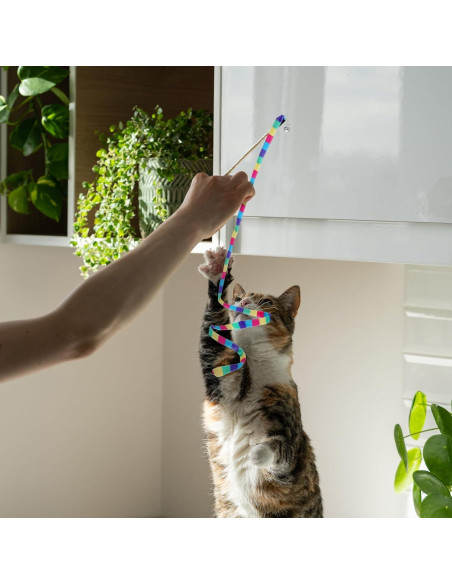 Juguetes Interactivos para Gatos InnoHHustle 2 Pcs Varitas Coloridas Juguetes Interactivos para Gatos InnoHHustle 2 Pcs Varitas Coloridas