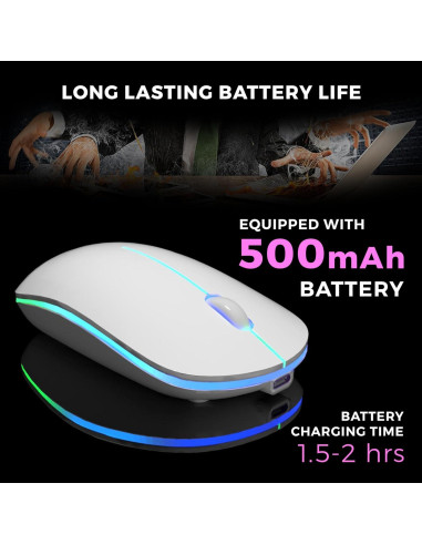 Ratón Inalámbrico Silencioso Parakeetr Recargable RGB 500mAh