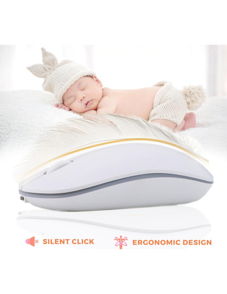 Ratón Inalámbrico Silencioso Parakeetr Recargable RGB 500mAh