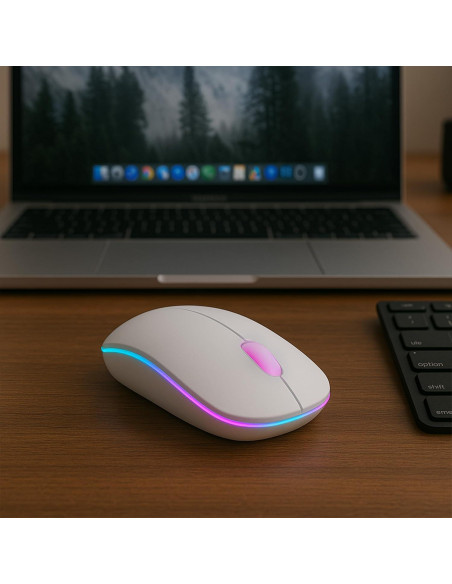 Ratón Inalámbrico Silencioso Parakeetr Recargable RGB 500mAh