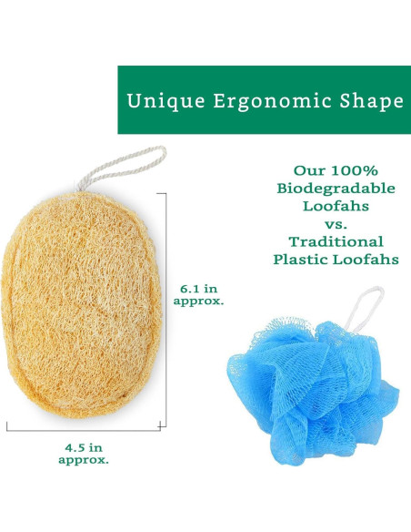 Esponjas Exfoliantes de Lufa Natural - Paquete de 3 - Biodegradables