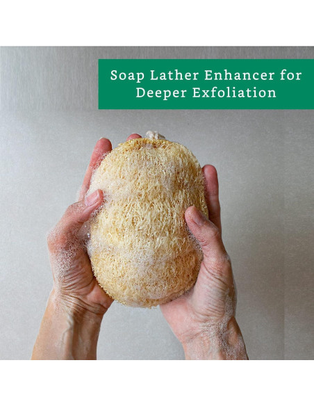 Esponjas Exfoliantes de Lufa Natural - Paquete de 3 - Biodegradables