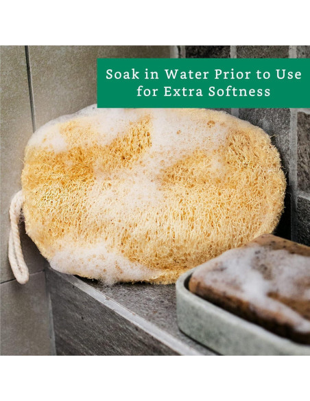 Esponjas Exfoliantes de Lufa Natural - Paquete de 3 - Biodegradables
