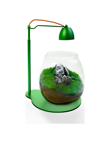 Terrario con Luz LED FZONE - Micro Paisaje Ajustable 19-40 cm