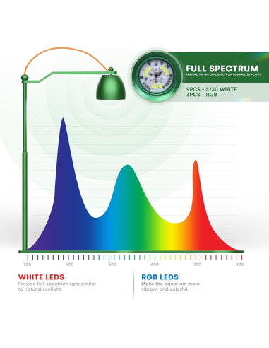 Terrario con Luz LED FZONE - Micro Paisaje Ajustable 19-40 cm