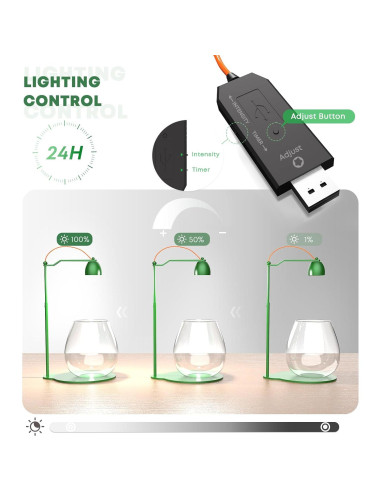 Terrario con Luz LED FZONE - Micro Paisaje Ajustable 19-40 cm