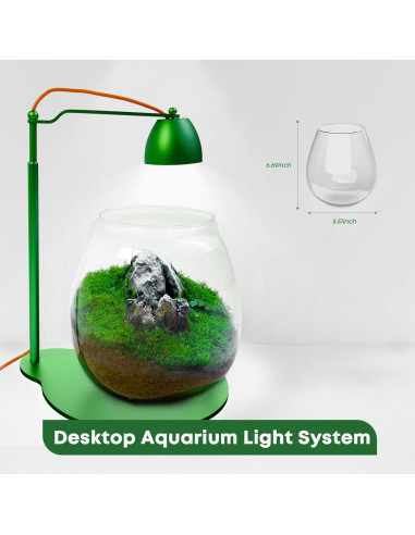 Terrario con Luz LED FZONE - Micro Paisaje Ajustable 19-40 cm