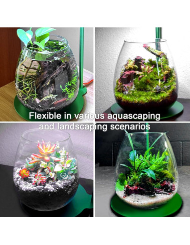 Terrario con Luz LED FZONE - Micro Paisaje Ajustable 19-40 cm