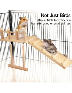 Plataforma de Hábito para Aves SMICEM con Columpio y Escalera 2