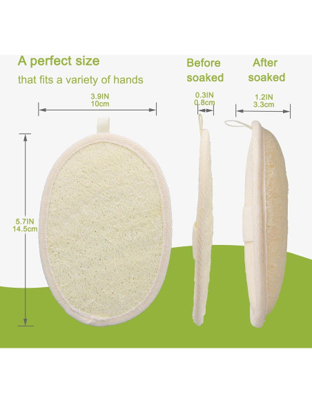 Esponjas de Ducha Exfoliantes de Luffa Natural - 2 Piezas