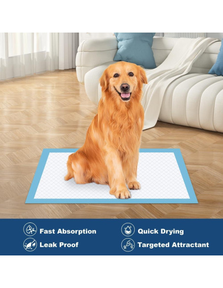 50 Almohadillas Desechables Quilocare 86x71 cm Ultra Absorbentes