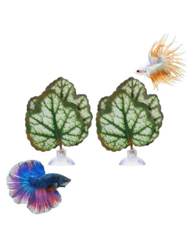 Hamaca de Hoja para Betta Balacoo - Acuario Verde 9x9 cm