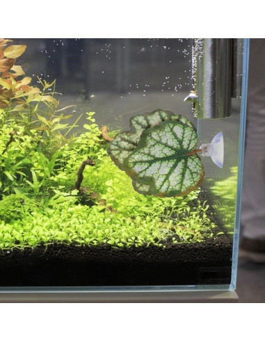 Hamaca de Hoja para Betta Balacoo - Acuario Verde 9x9 cm