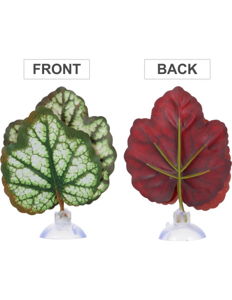 Hamaca de Hoja para Betta Balacoo - Acuario Verde 9x9 cm