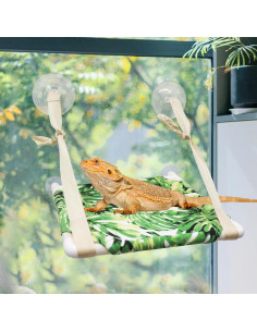 Perch de Ventana Oooct para Lagartos 30.48x27.94cm 2