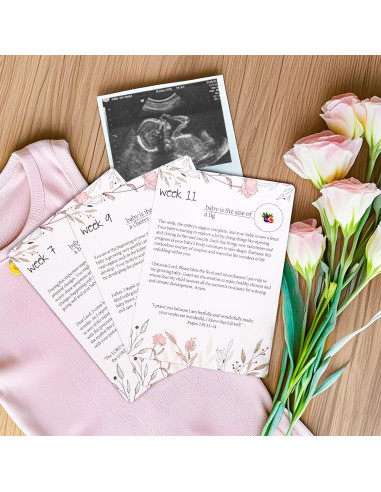 20 Tarjetas de Oración para Embarazo EIHFHIE 12.7x17.3cm