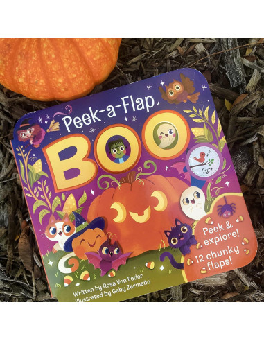 Boo Halloween Lift-a-Flap Board Book Ages 0-4