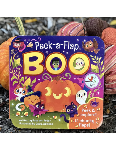 Boo Halloween Lift-a-Flap Board Book Ages 0-4