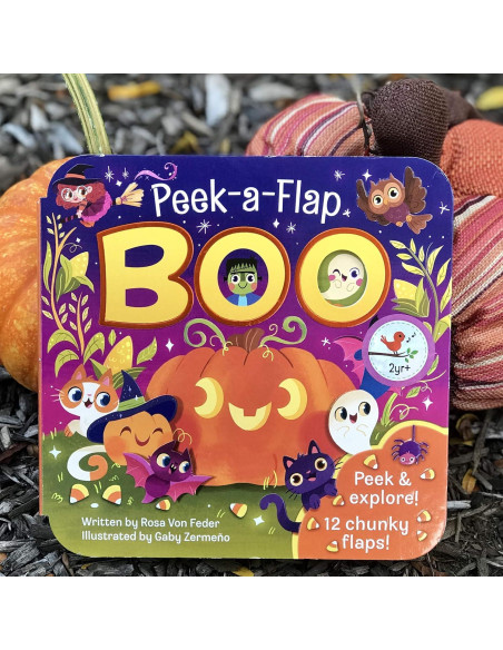 Boo Halloween Lift-a-Flap Board Book Ages 0-4
